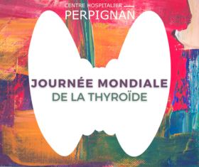 Agrandir l'image, .PNG 859Ko (fenêtre modale)
