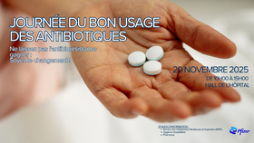 Agrandir l'image, .PNG 3,98Mo (fenêtre modale)