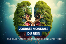 Agrandir l'image, .PNG 177Ko (fenêtre modale)