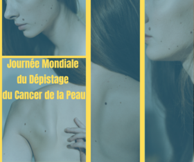 Agrandir l'image, .PNG 737Ko (fenêtre modale)