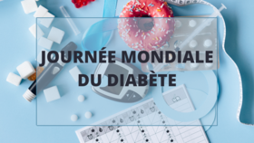 Agrandir l'image, .PNG 2,09Mo (fenêtre modale)