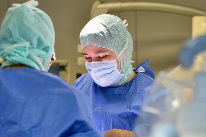 Agrandir l'image, (fenêtre modale)