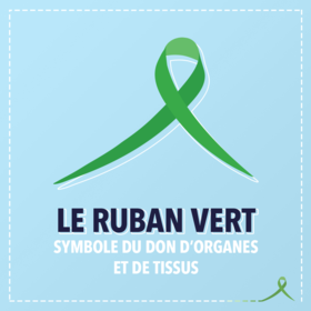Agrandir l'image, .PNG 299Ko (fenêtre modale)