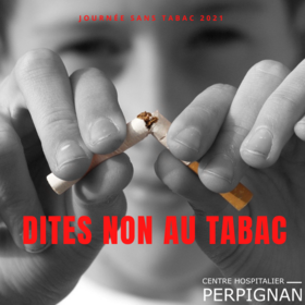 Agrandir l'image, .PNG 550Ko (fenêtre modale)